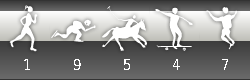 visitor counter widget